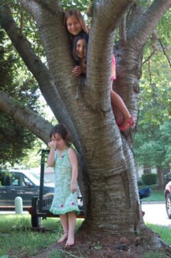 Brooklyn, Haven, and Oliver Torrence