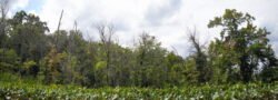Featherstone National Wildlife Refuge