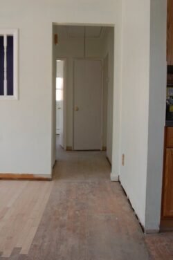 Hallway Floor - Before Refinishing