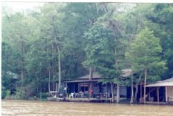 Honeywell Swamps Fish Camp