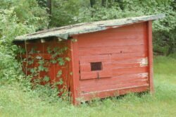 Old Shed