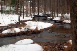 Winter Stream