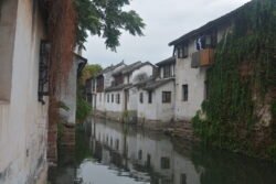 wide canal lined with stone houses on each side. One house on the right side is covered in green leafy vines