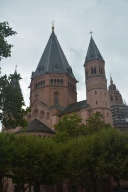 looking up at a massive sandstone cathedral with two towers, and a group of trees at its base.