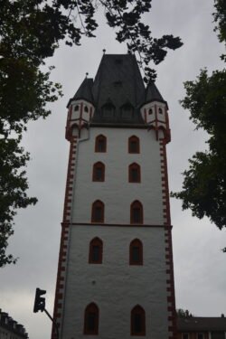 looking up at a white square tower with red brick corners and red-framed arched windows. The tower is framed in leafy tree branches