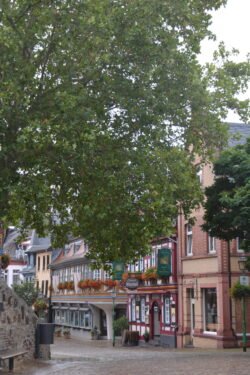 looking down a cobblestone street with decorative half-timbered houses on the right side