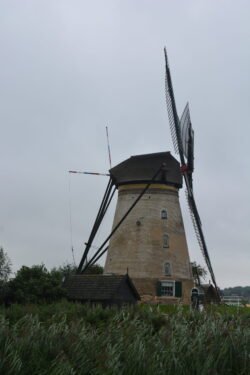 lone dutch windmill in a grassy lawn