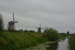 small canal covered with water lillies and a line of windmills on the left side