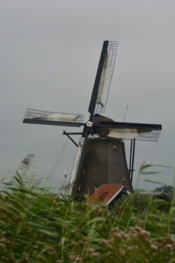 lone windmill with brush as its bae and a red-roofed hut next to it.