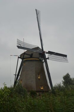 a lone windmill surrounded by brush
