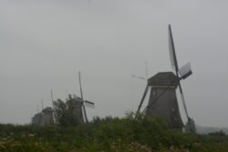 a row of windmills facing into the wind