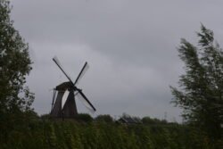 a dutch windmill on a grassy field, flanked by trees