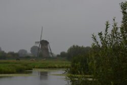 a view of a dutch windmill looking across a watery canal