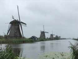 a row of dutch water-pumping windmills lining a canal