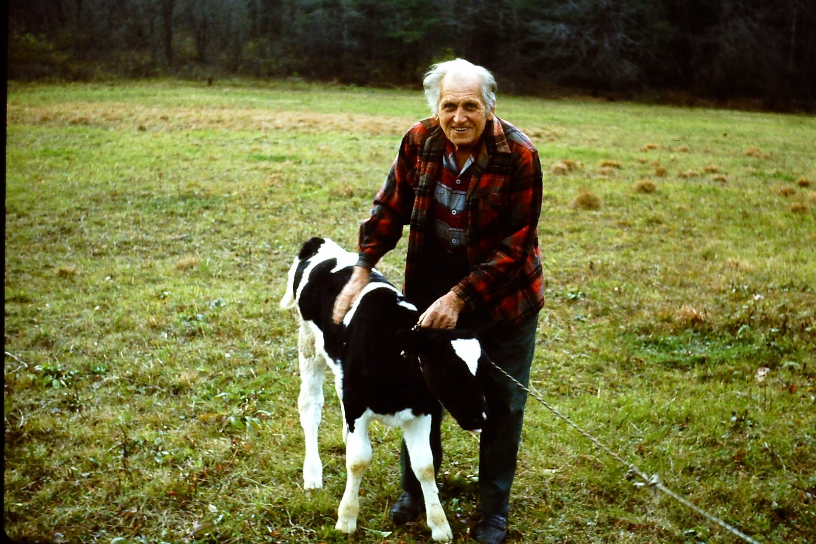 Eric Wilkens with a young milk calf. About 1976